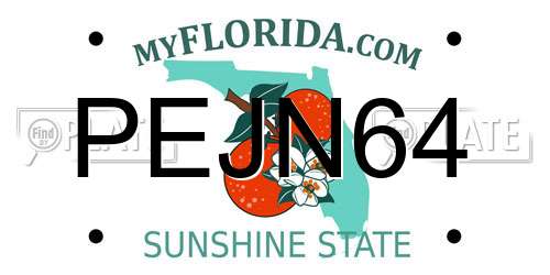 PEJN64 Florida License Plate