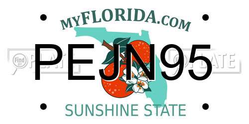 PEJN95 Florida License Plate