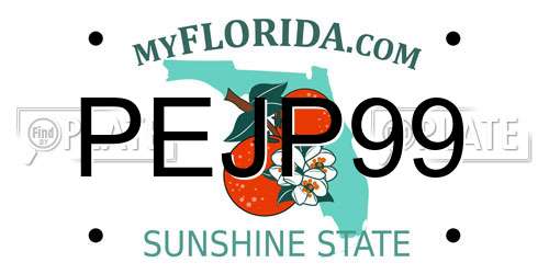 PEJP99 Florida License Plate