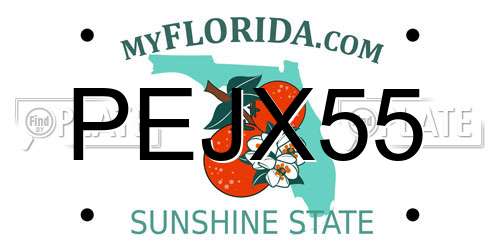 PEJX55 Florida License Plate