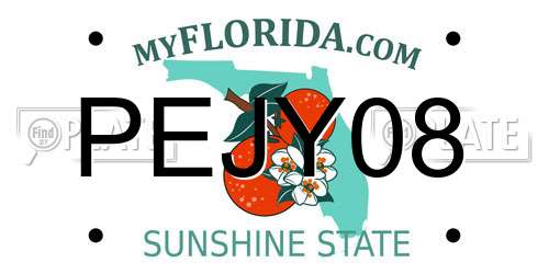 PEJY08 Florida License Plate