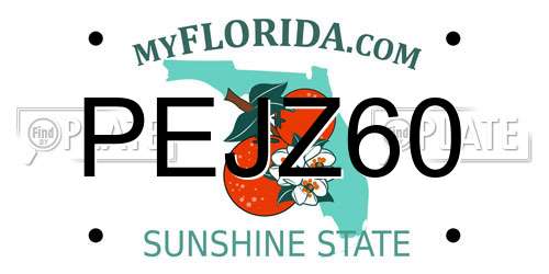 PEJZ60 Florida License Plate