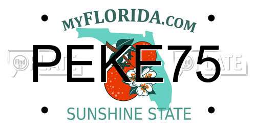 PEKE75 Florida License Plate
