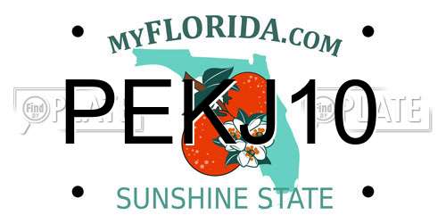 PEKJ10 Florida License Plate