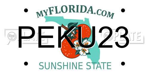 PEKU23 Florida License Plate