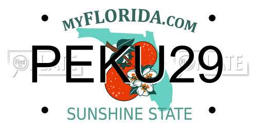 PEKU29 Florida License Plate