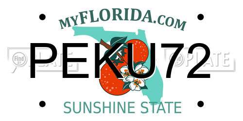 PEKU72 Florida License Plate