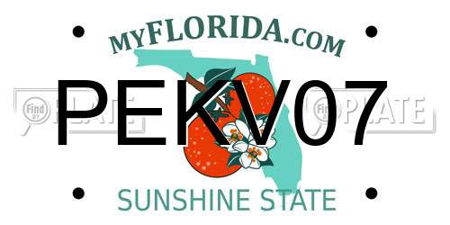 PEKV07 Florida License Plate
