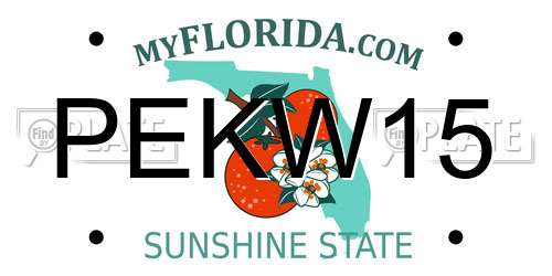 PEKW15 Florida License Plate
