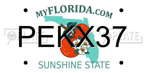 PEKX37 Florida License Plate