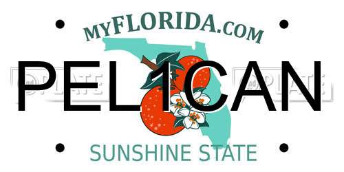 PEL1CAN Florida License Plate