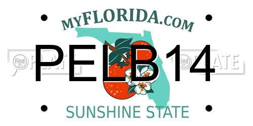 PELB14 Florida License Plate