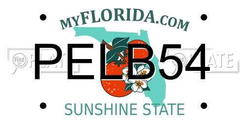 PELB54 Florida License Plate