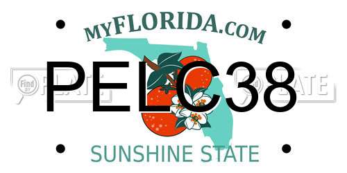PELC38 Florida License Plate