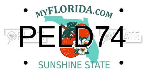 PELD74 Florida License Plate