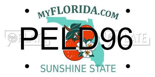 PELD96 Florida License Plate