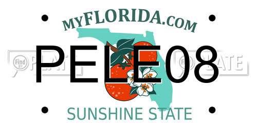 PELE08 Florida License Plate