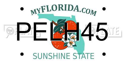 PELH45 Florida License Plate