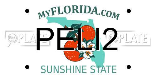 PELI2 Florida License Plate