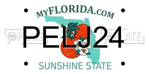 PELJ24 Florida License Plate