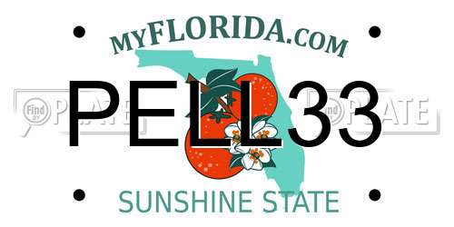 PELL33 Florida License Plate