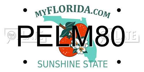 PELM80 Florida License Plate