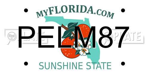 PELM87 Florida License Plate