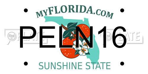 PELN16 Florida License Plate
