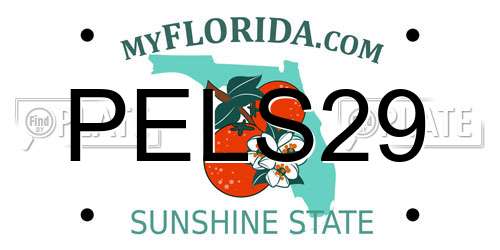 PELS29 Florida License Plate