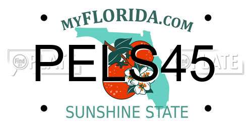 PELS45 Florida License Plate