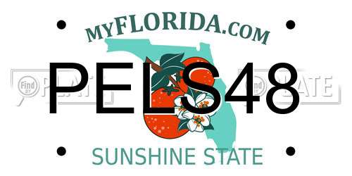 PELS48 Florida License Plate