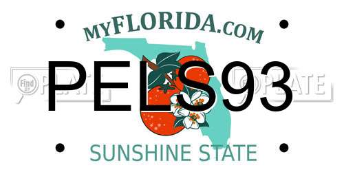 PELS93 Florida License Plate