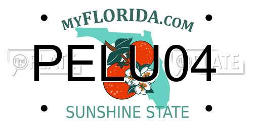 PELU04 Florida License Plate