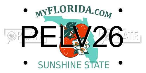 PELV26 Florida License Plate