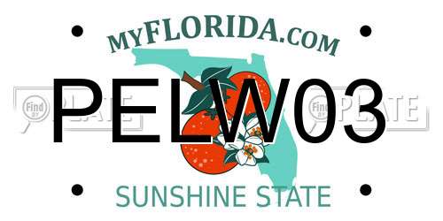PELW03 Florida License Plate