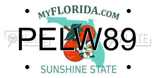 PELW89 Florida License Plate