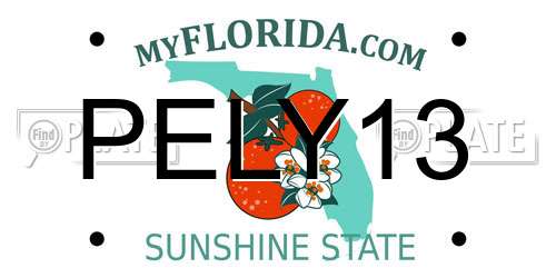 PELY13 Florida License Plate