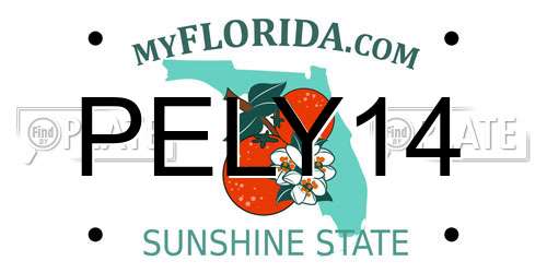 PELY14 Florida License Plate