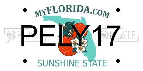 PELY17 Florida License Plate