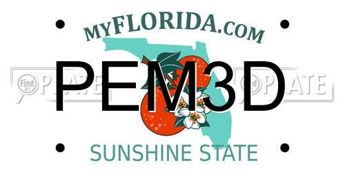 PEM3D Florida License Plate