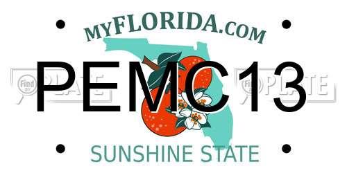 PEMC13 Florida License Plate