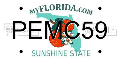 PEMC59 Florida License Plate