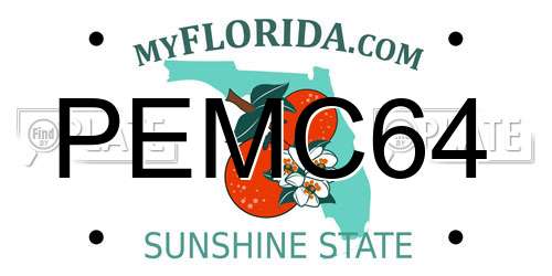 PEMC64 Florida License Plate