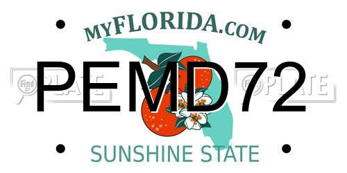 PEMD72 Florida License Plate