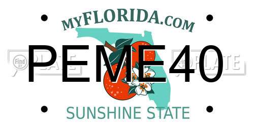 PEME40 Florida License Plate