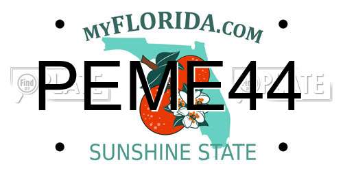 PEME44 Florida License Plate