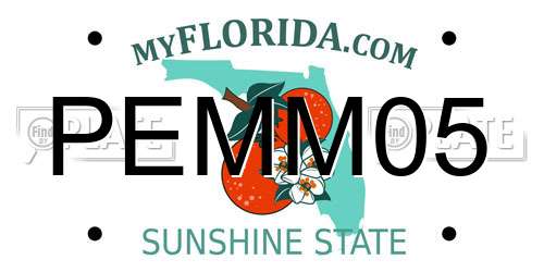 PEMM05 Florida License Plate