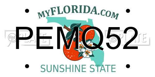 PEMQ52 Florida License Plate