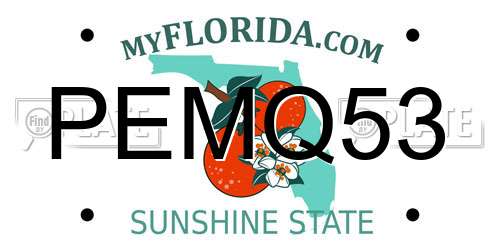 PEMQ53 Florida License Plate