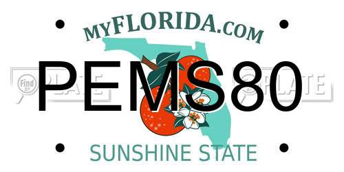 PEMS80 Florida License Plate